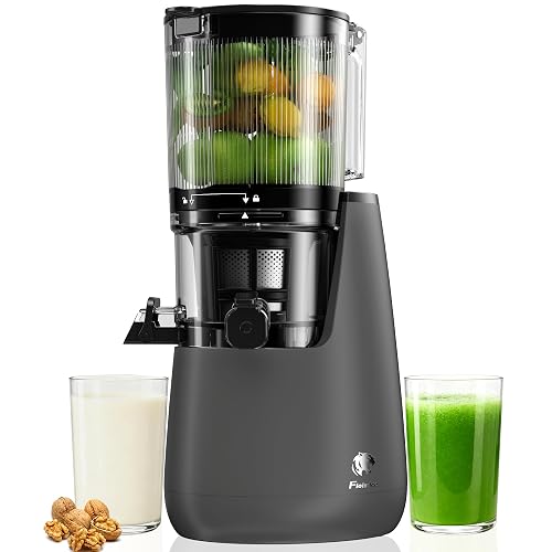 Cold Press Juicer, 6" Extra Large Feed Chute Slow Masticating