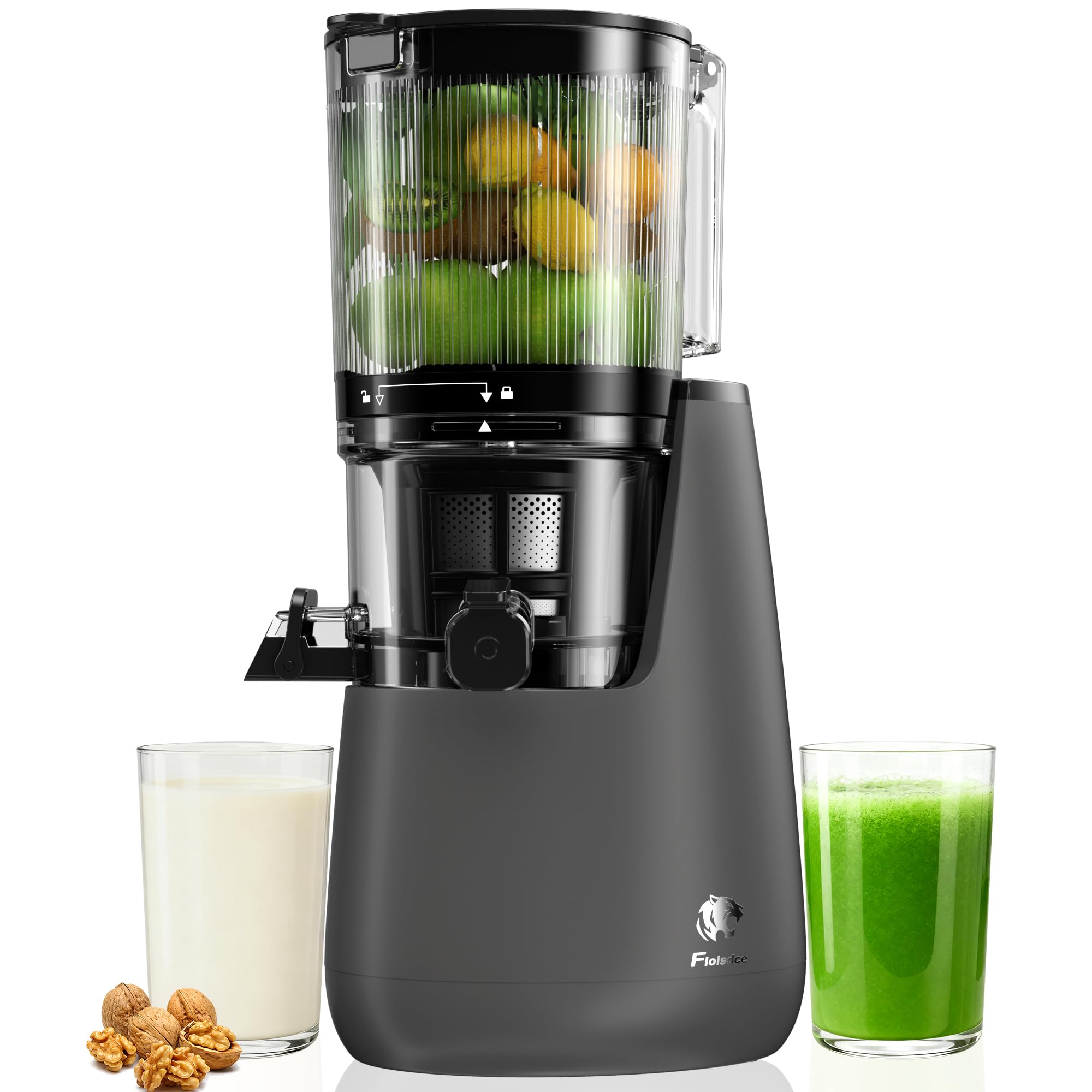 Floisdace PB-011 Cold Press Juicer