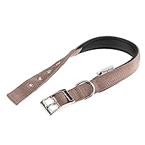 Ferplast Collare Cane Taglia Medio Grande Collare per Cani in Nylon Imbottito Regolabile Fibbia Metallica, Misura Collo 41-49 cm, Marrone