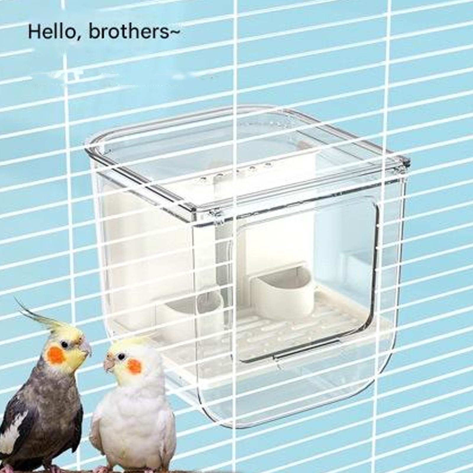 Mangeoire à oiseaux automatique à suspendre avec design anti-déversement pour oiseaux de compagnie ABS transparent installation facile économie d'espace mangeoire automatique à suspendre