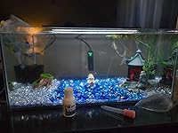 Review Image by Leilei Leilei