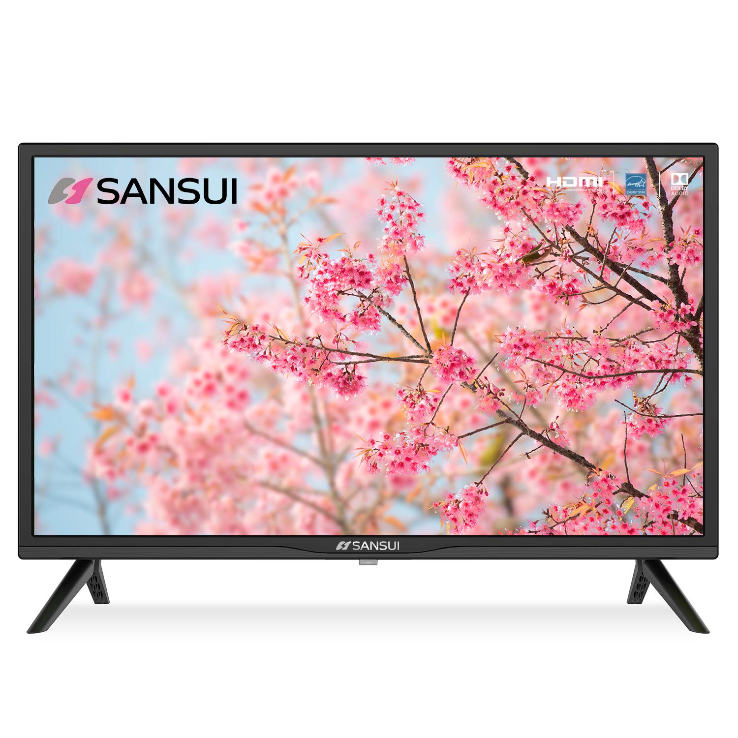 SANSUI ES24Z1, 24 inch HD (720P) LED TV with Builtin HDMI, USB, VGA