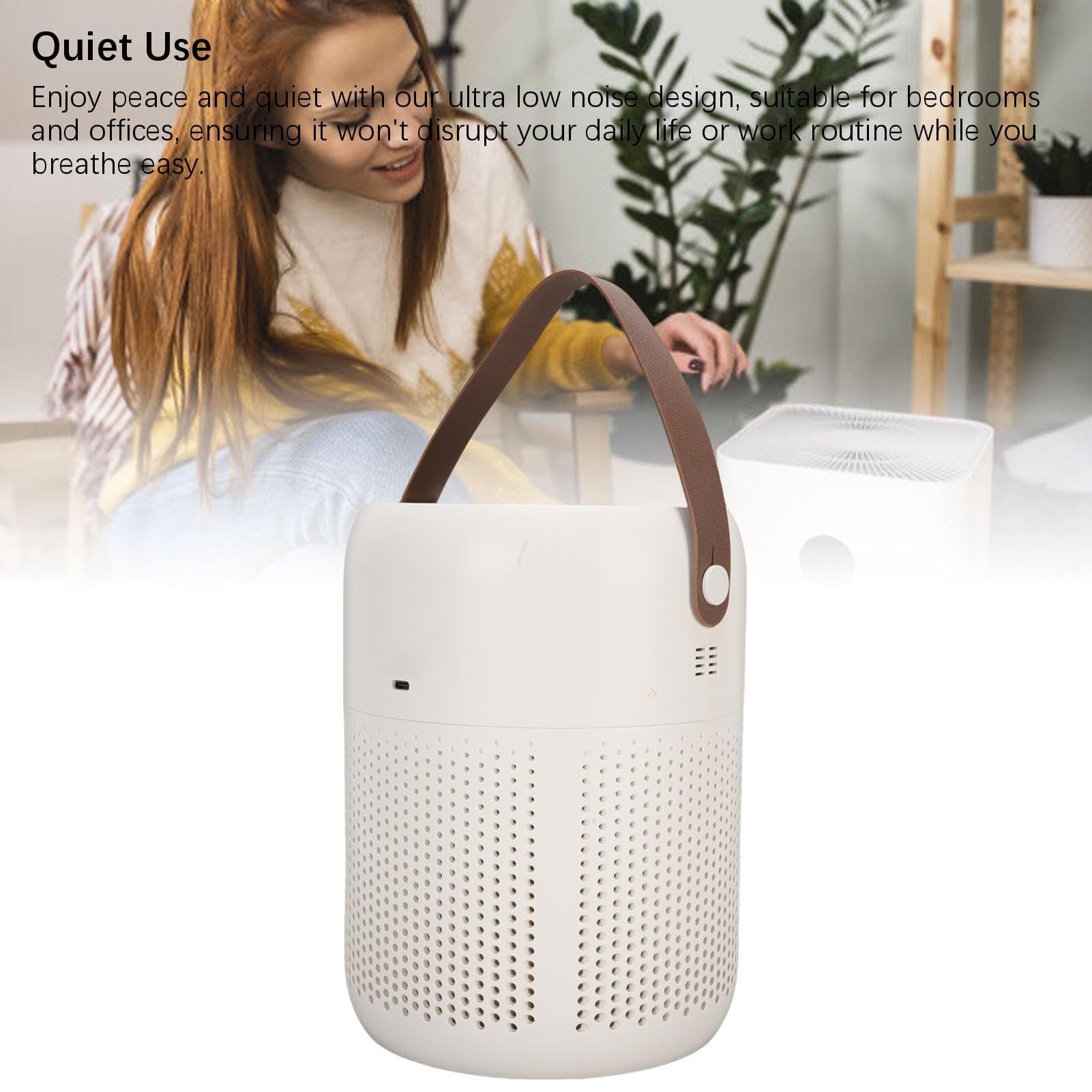 Topiky Purificatore d'aria da Tavolo a Rilascio di Ioni per Camera da Letto di Casa, Purificatore d'aria HEPA Portatile Silenzioso con Filtro PM2.5, Elimina Odori per Scrivania da Ufficio,