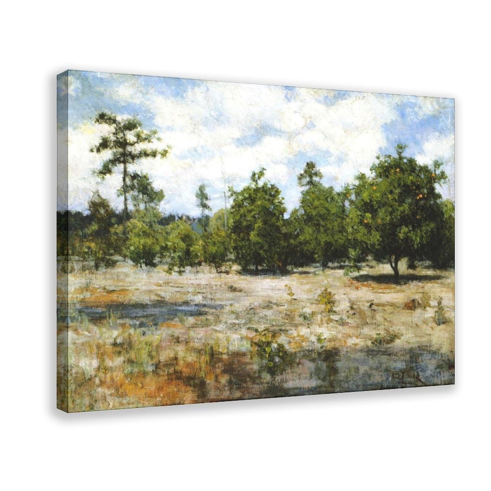 Impression sur toile Florida Henry Ossawa Tanner tableau mural salon 40x60 cm - 8