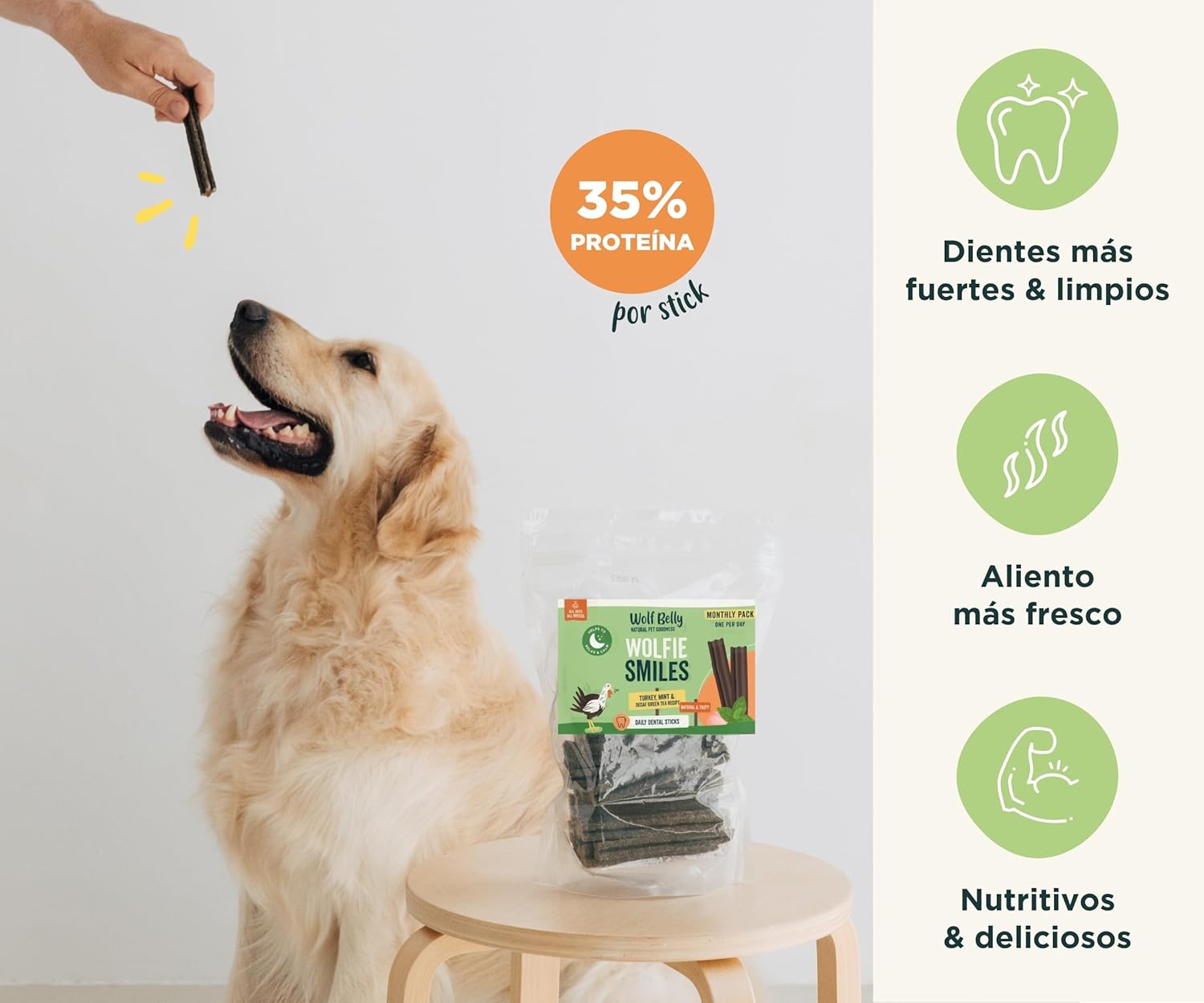 713ZQlYinZL. AC SL1500