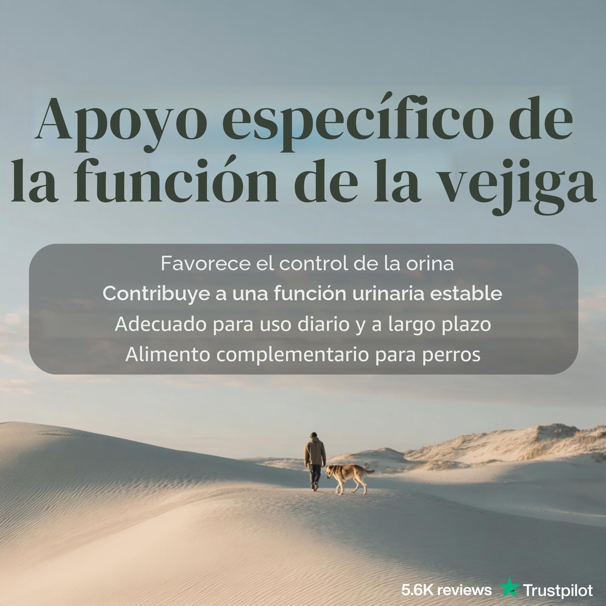 Inconti Stop Perro – incontinencia y Debilidad de la vejiga Hembra y Macho – Apoyo Natural de Las vías urinarias Ante pérdidas de orina, Goteo y Control reducido – 90 Comprimidos