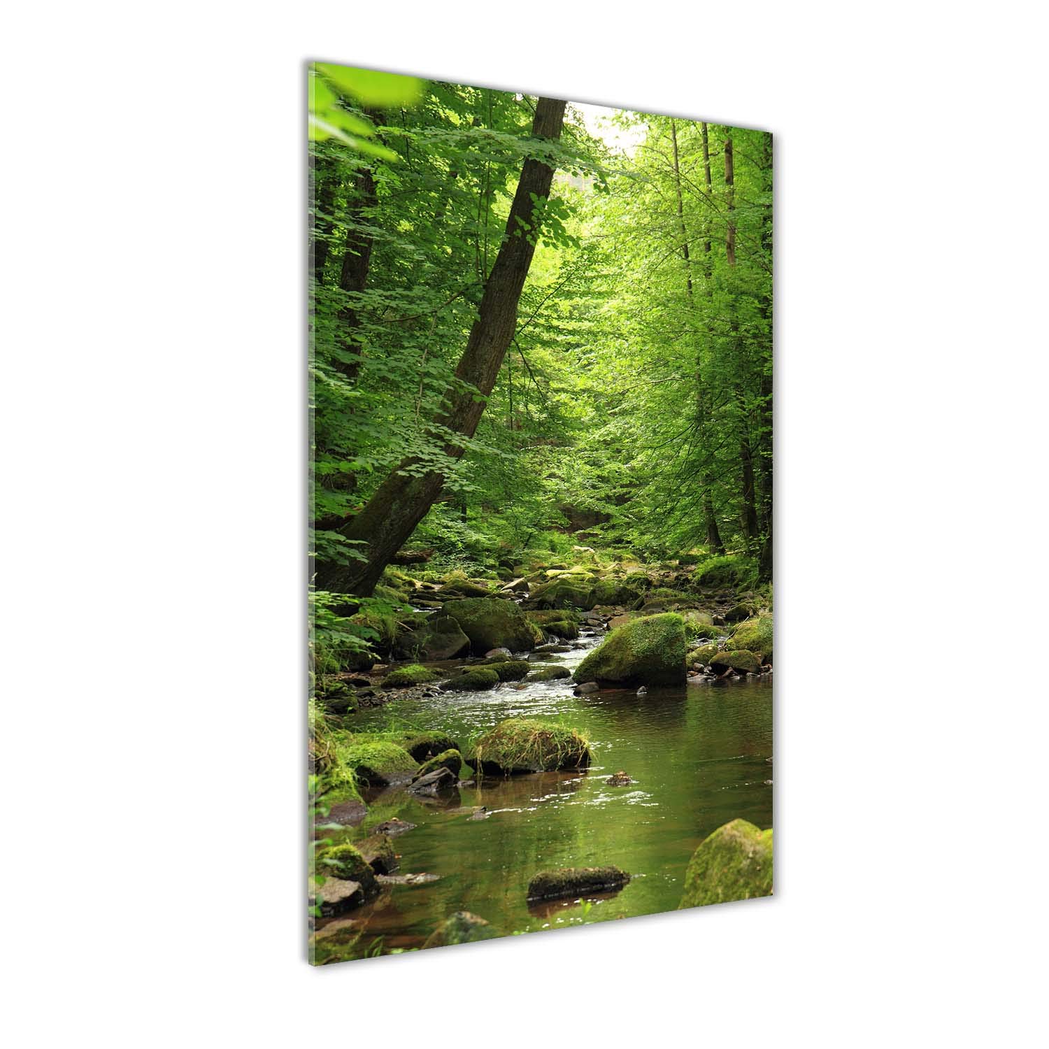 Rivière dans la forêt sur tableau en verre pour salon vert et zen