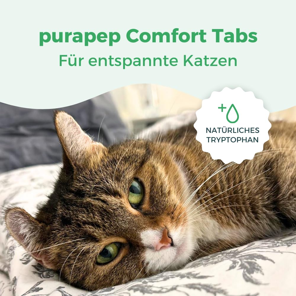 Comfort Katzen Tabs – Natürliches Beruhigungsmittel mit Tryptophan, Calcium & B Vitaminen – bei Stress, Angst & Silvester. Für entspannte Katzen in jeder Situation. Lecker + wirksam |240 Tabs