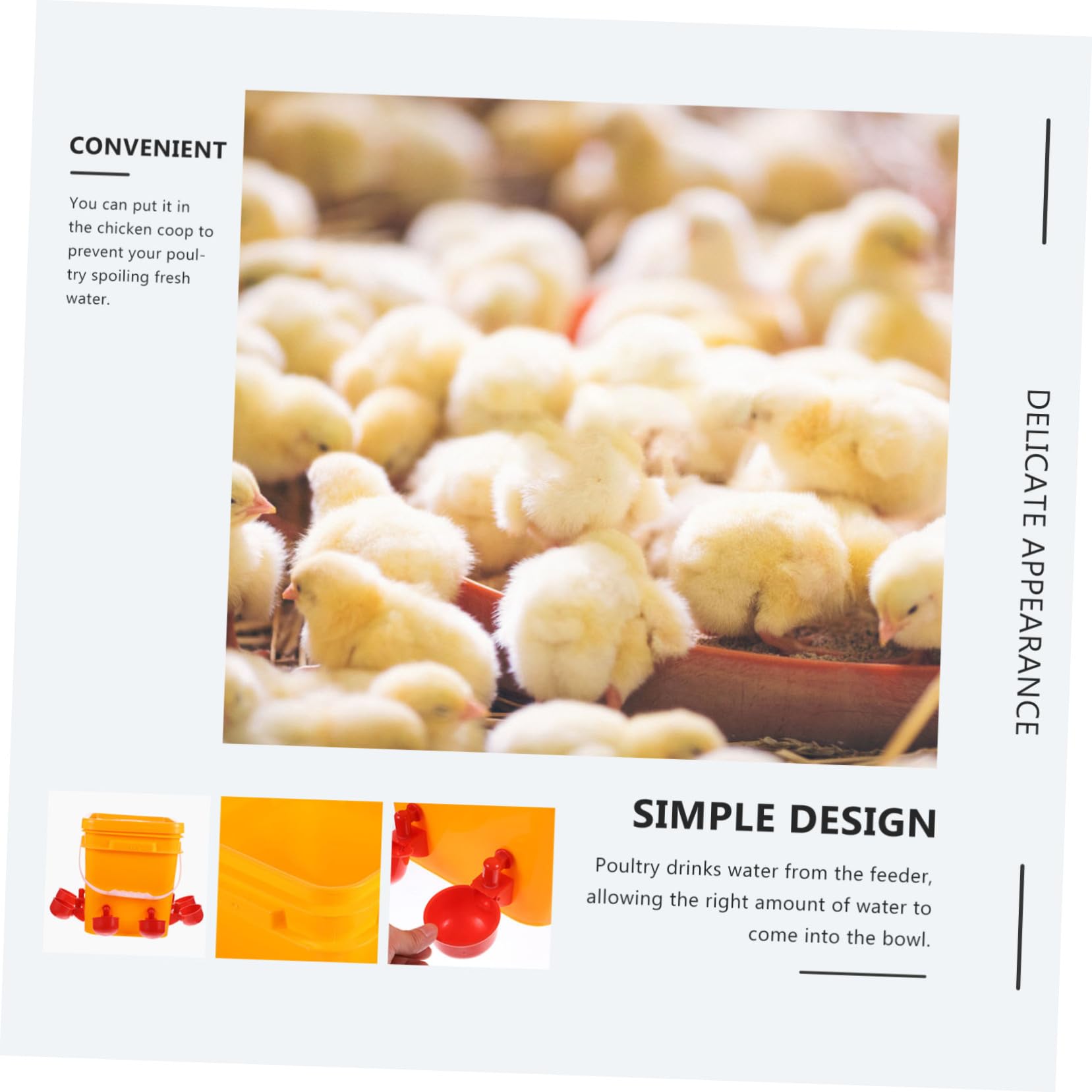 Abreuvoir pour Poulets Automatique avec Tasses D’abreuvement, 1 Set | Remplissage Facile, Distribution Automatique de L’eau, pour Cailles et Animaux Domestiques