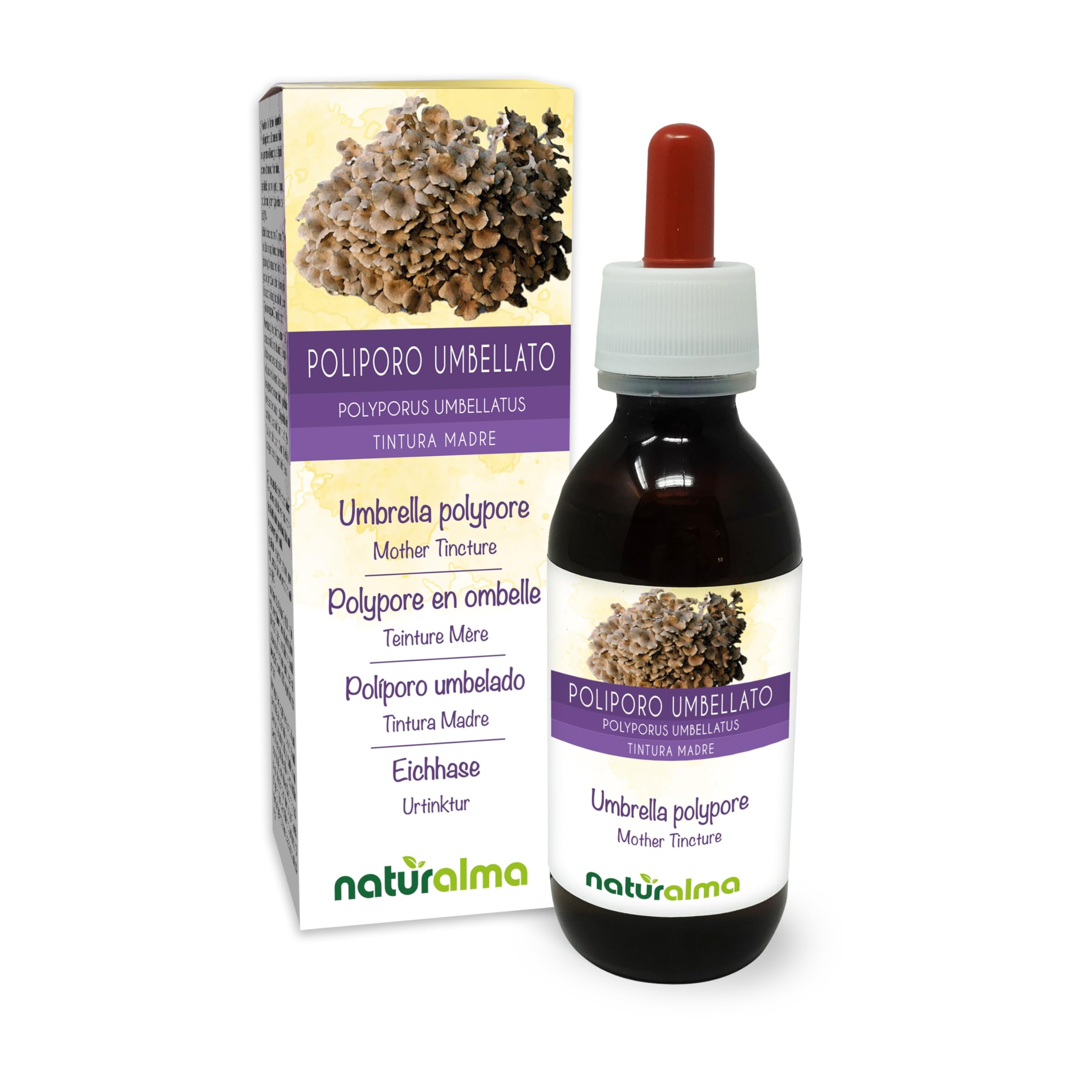 Poliporo umbellato (Polyporus umbellatus o Grifola umbellata) fungo Tintura Madre analcoolica Naturalma - Estratto liquido gocce 120 ml - Integratore alimentare - Vegano