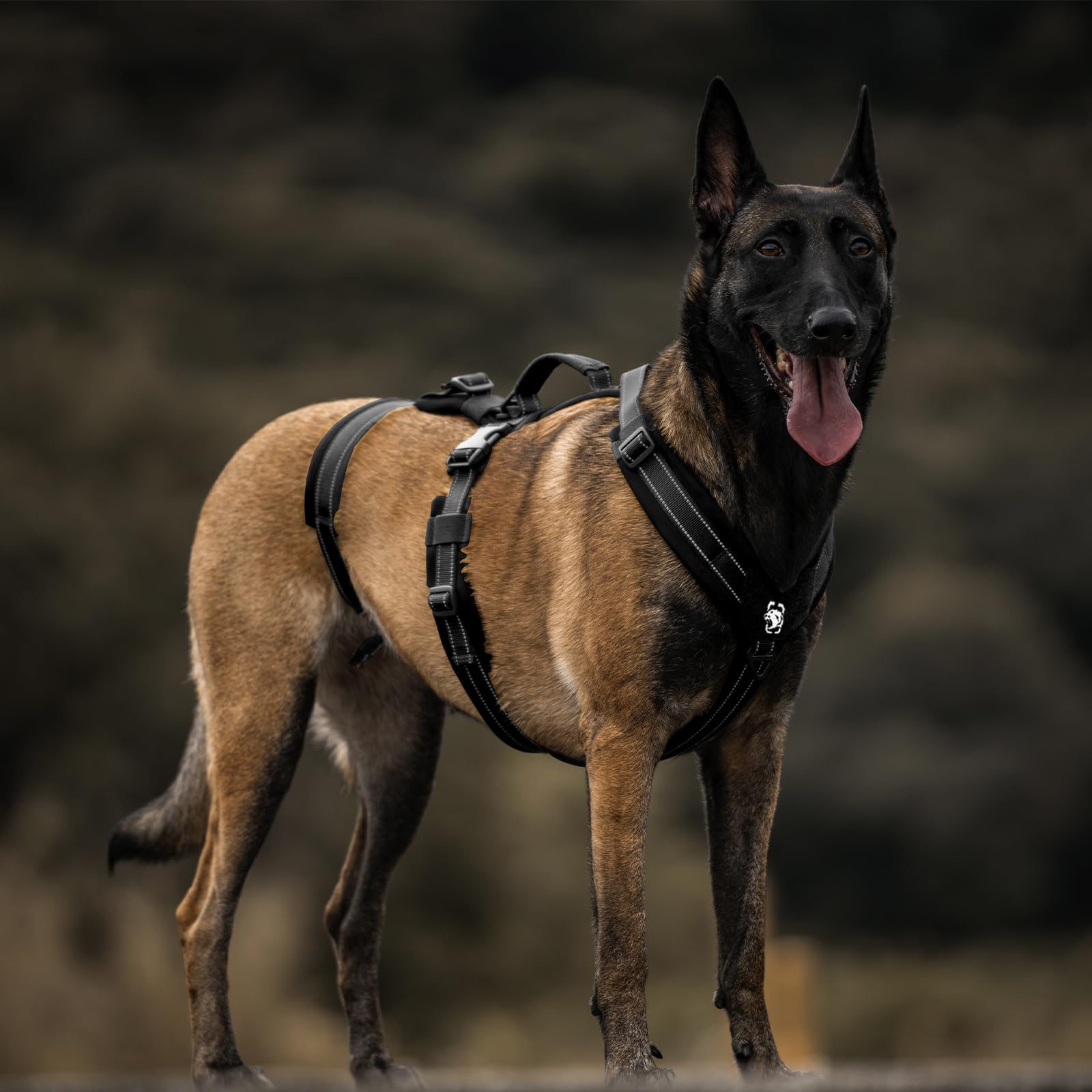 OneTigris Pettorina per cani, HOUNDLOCK Pettorina tattica anti-scoppio regolabile morbida imbottita con 1 maniglia, 2 anelli a D e riflettente (Nero, M)