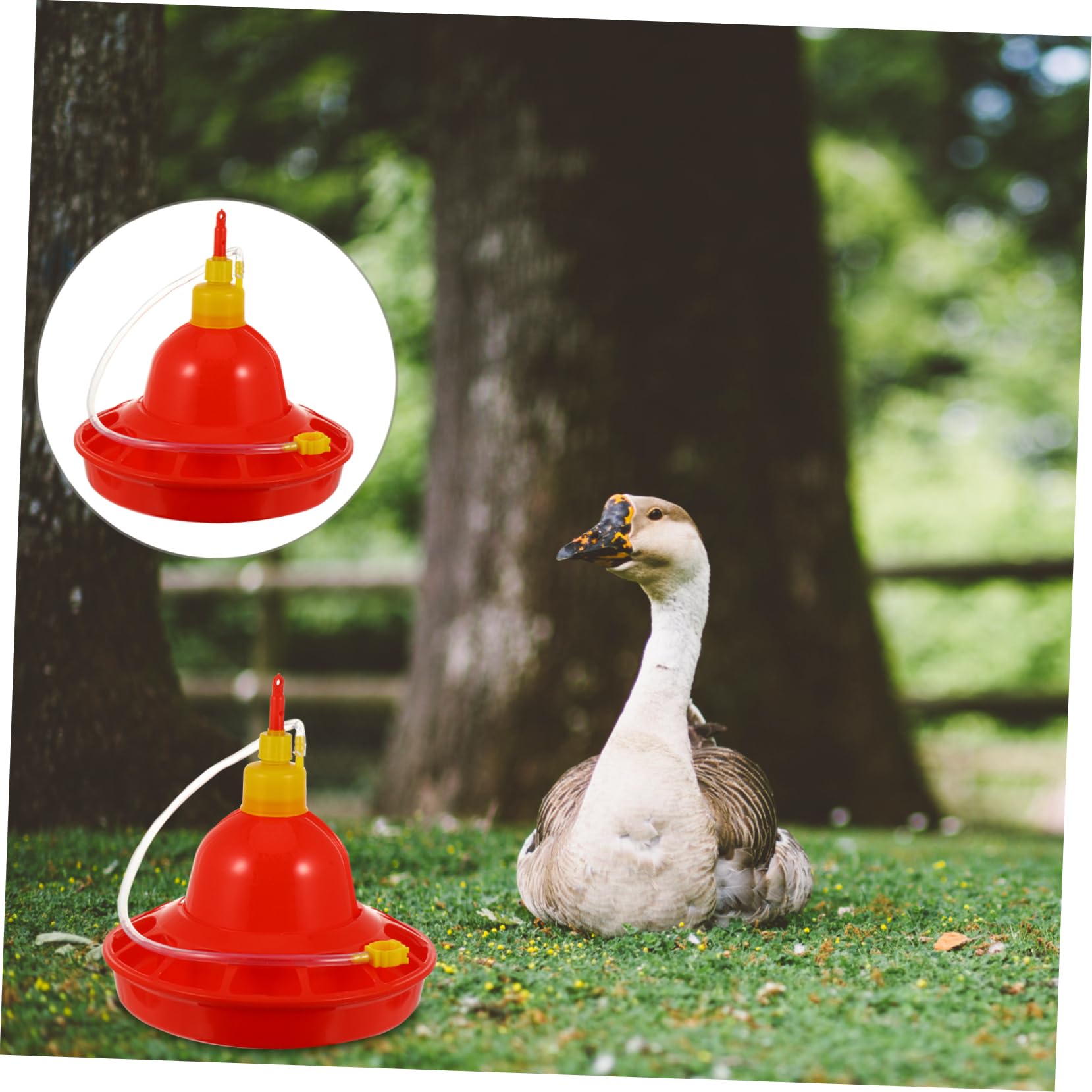 VANZACK Mangiatoia Automatica per Pollame in Plastica, Flusso D’acqua Costante e Resistente al Calore, per Galline e Uso in Allevamento All’aperto