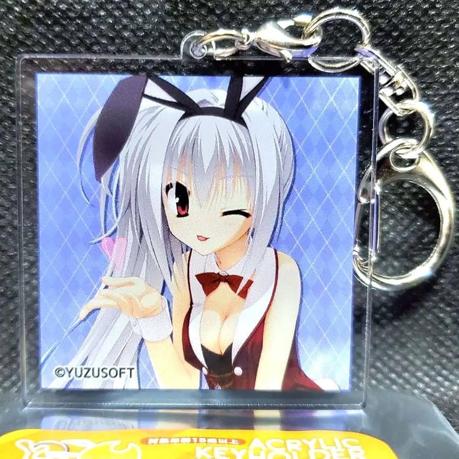 ゆずソフト アクリルキーホルダー　DRACU-RIOT! エリナ Amazon.co.jp: DRACU-RIOT ドラクリオット エリナ アクリル