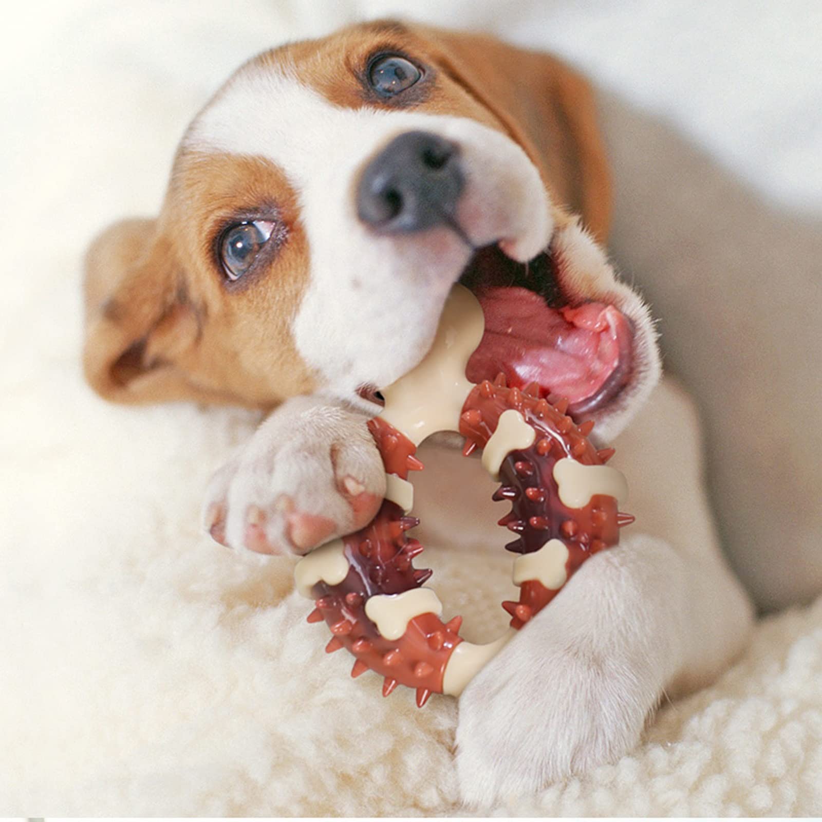 Anillo de limpieza para mascotas, huesos de perros, huesos para mascotas, suministros para cachorros, masticables para perros, golosinas de comida