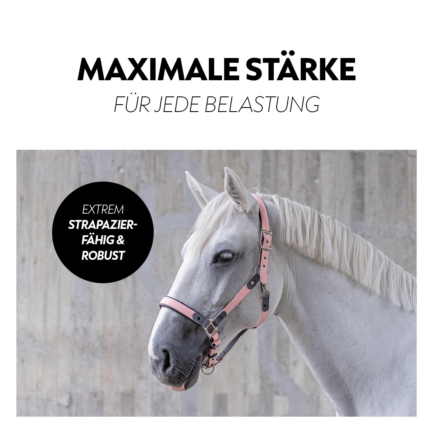 SUNRIDE Biothane Halfter für Pferde - mit Strick - UV-Beständig - anatomisch, verstellbar - extra Polsterung - Nachhaltig & Vegan - antibakteriell - wasserabweisend - rostfrei (rosa, Pony)
