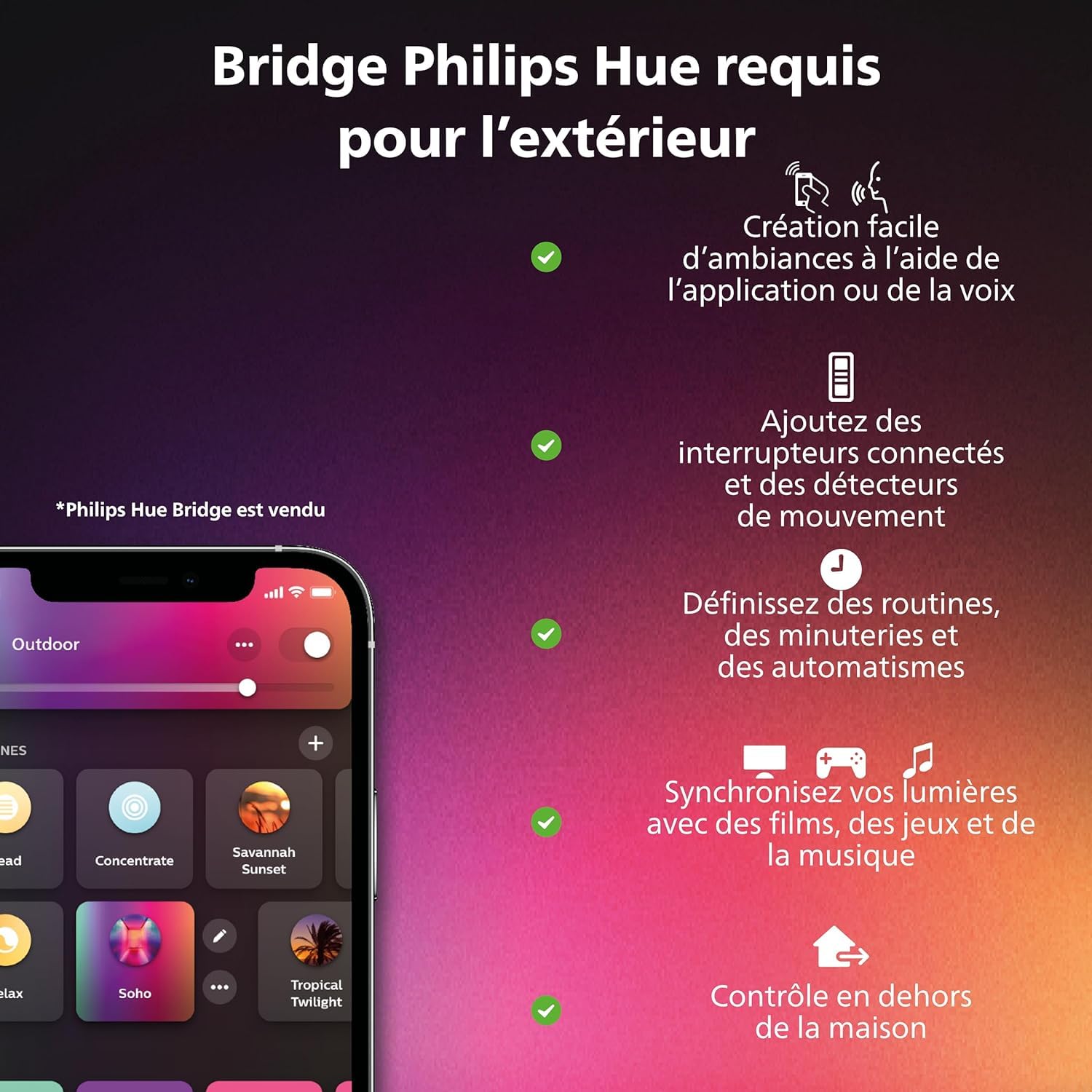 Philips Hue White and Color ambiance, Guirlande Lumineuse festive, 250LEDs, 20 mètres, fonctionne avec Alexa, Google Home et Apple Homekit
