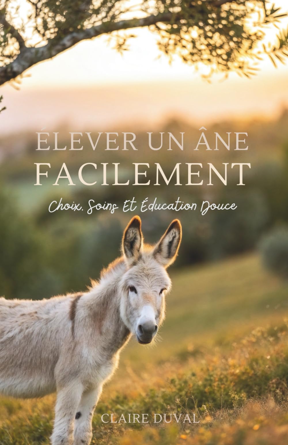 Élever Un Âne Facilement: Choix, Soins Et Éducation Douce