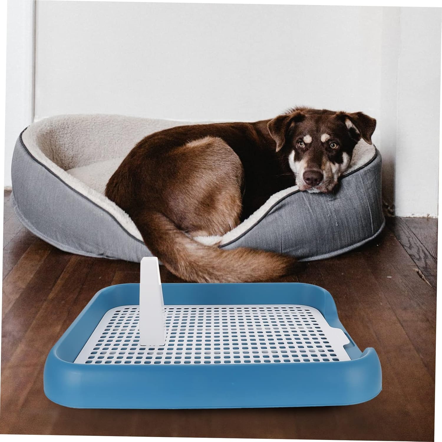 Luxshiny Dog Toilet for Indoor Use with Design Sturdy PP Plastic Potty Tray for Small to Dogs Lightweight and Easy to Clean Promotes Toilet Training and Hygiene