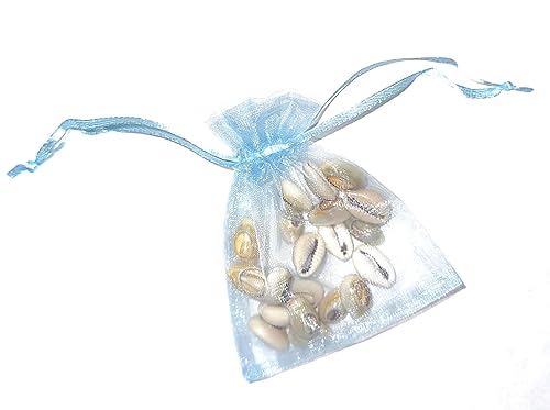 Mano de Caracoles para Santeria