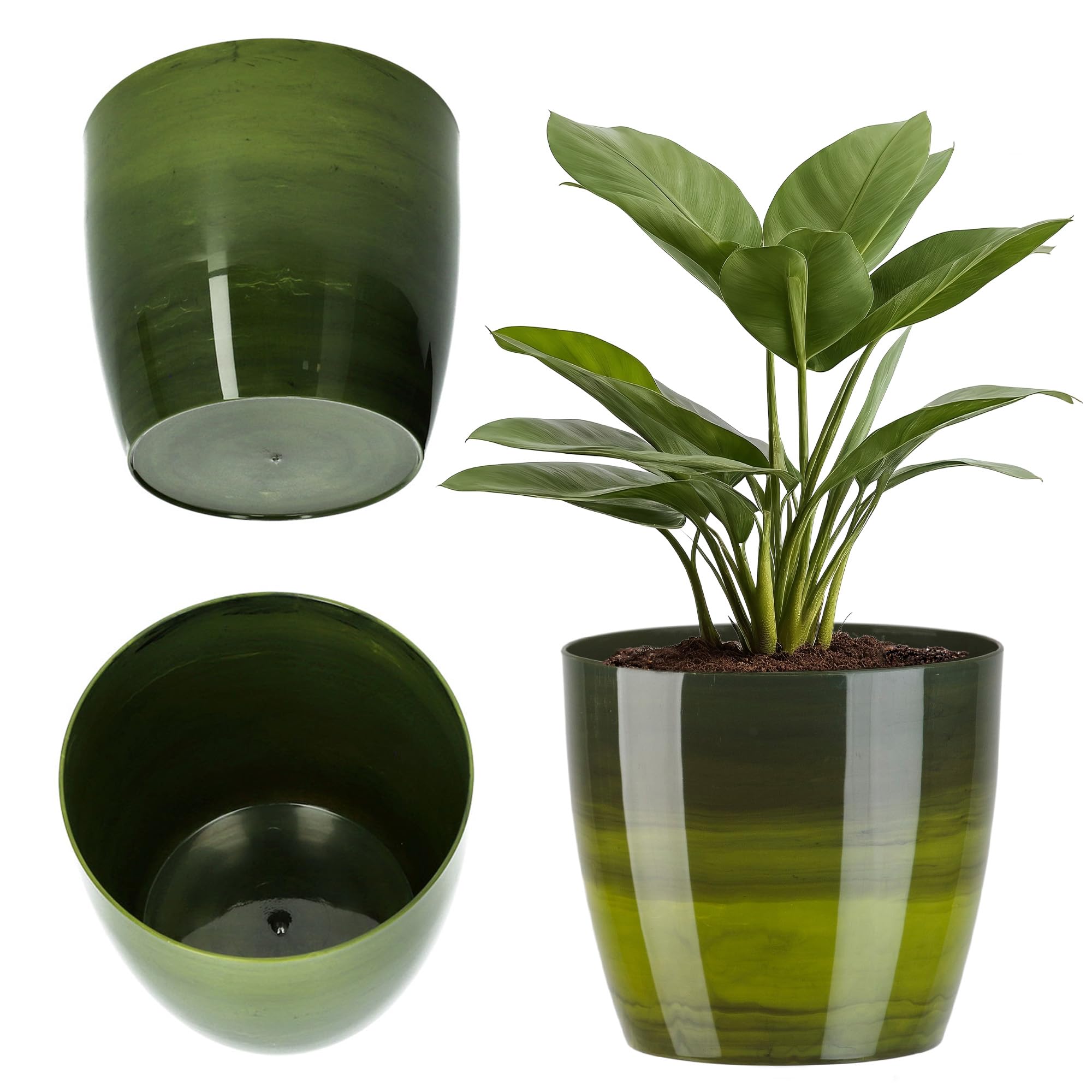 KADAX Maceta con Plato y Plato para Cactus, helechos (30 cm, Rosa) — view 15