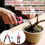 Taille des ciseaux de jardinage Outils : 3pcs Extérieurs & Jardin intérieur Clippers, Pinces roses, Plantes, Prunier en bois, Accessoires de travail de jardinier pour l'aménagement de fleurs, Aménagement paysager de la cour
