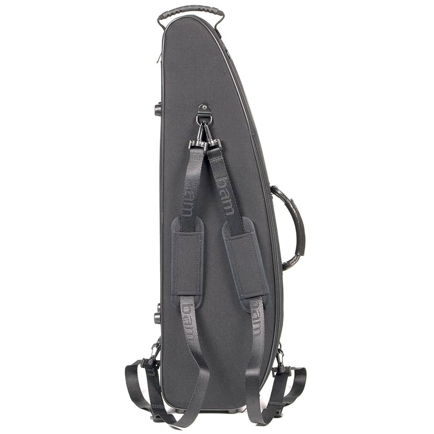 bam I'original Violin Case　FRANCE Amazon.com: Bam France Classic 5003S Shaped 4/4 Violin Case