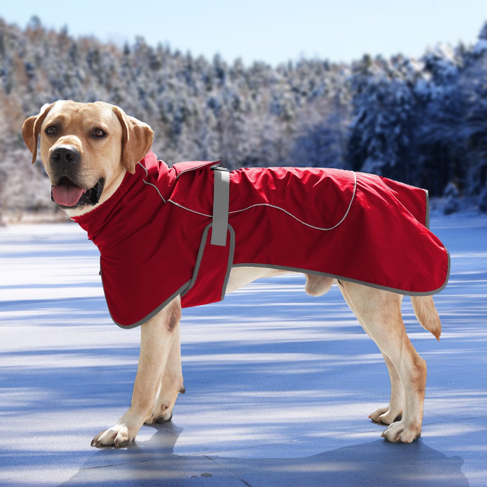 HEYWEAN Giacca per cani Cappotto impermeabile per cani Giacca riflettente per il freddo con fodera in morbido pile Cappotto caldo per cani Escursionismo in campeggio al coperto e all'aperto