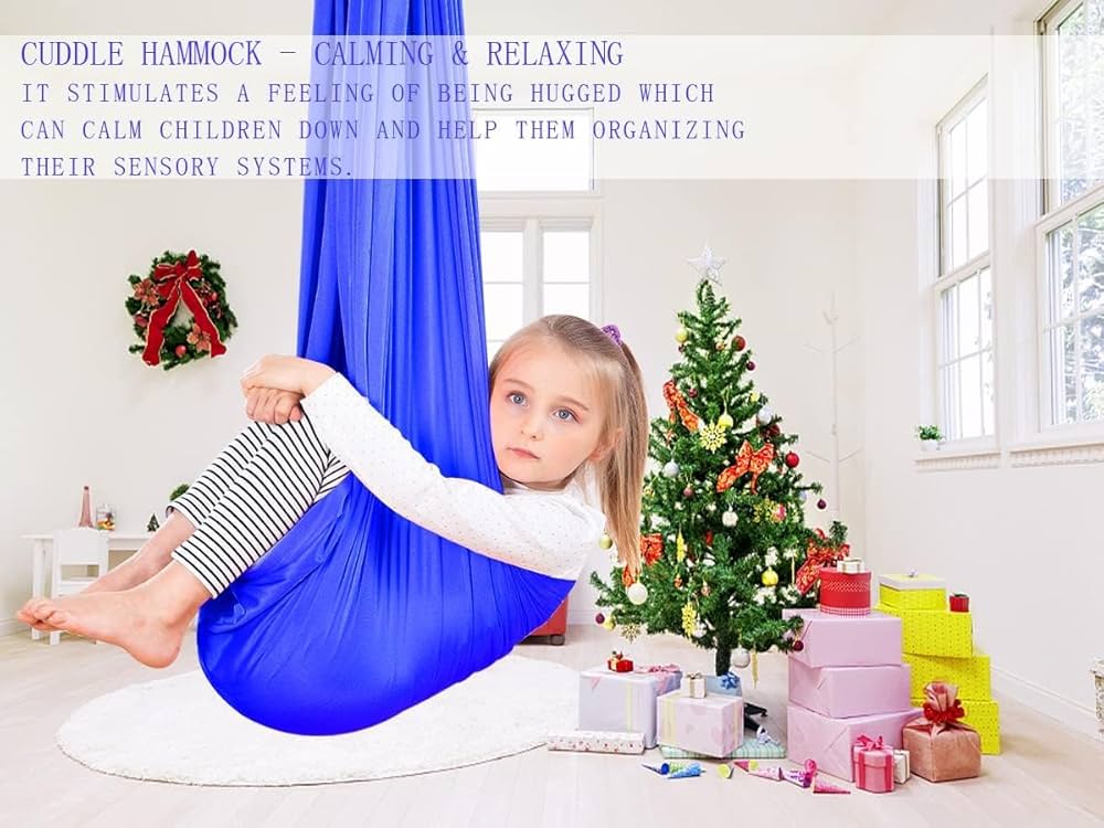 ⑥ちゃこ 様 swing Sensory Therapy For Kids Acrobat Swing Hammock + Cuddle