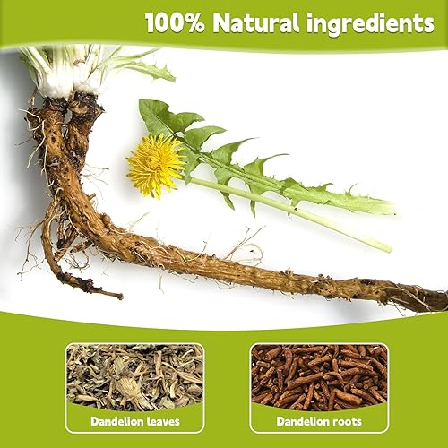 Miniatura 5 de Bolsas de té de hoja y raíz de diente de león, té de raíz de diente de león 100% puro, té de hierbas de diente de león natural para la salud del