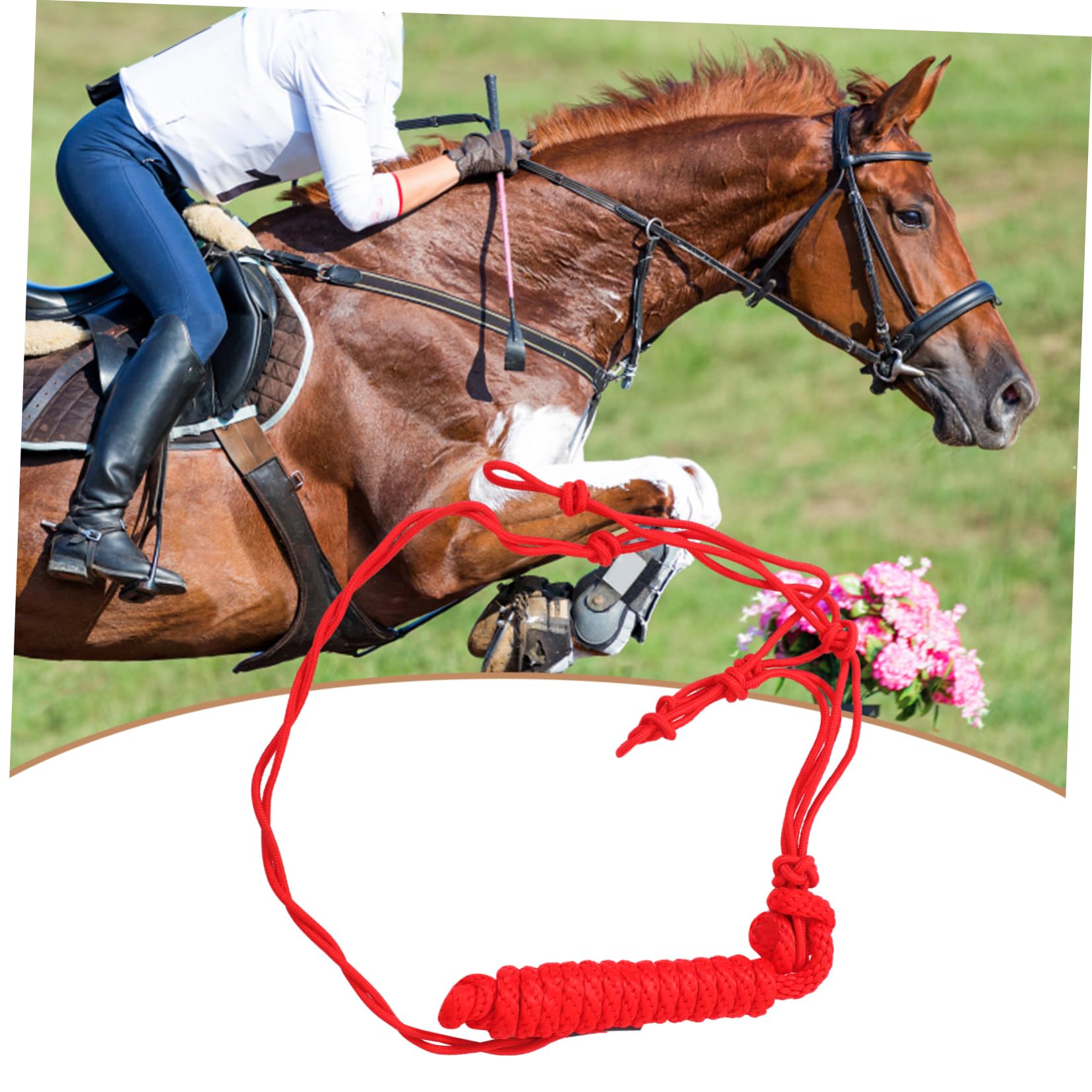 Cabestro para Caballos Rojo de Poliéster, Portátil y Fácil de Guardar | Equipo de Entrenamiento Ecuestre, Cabezada Trenzada de Uso Práctico, Suministro para Montar