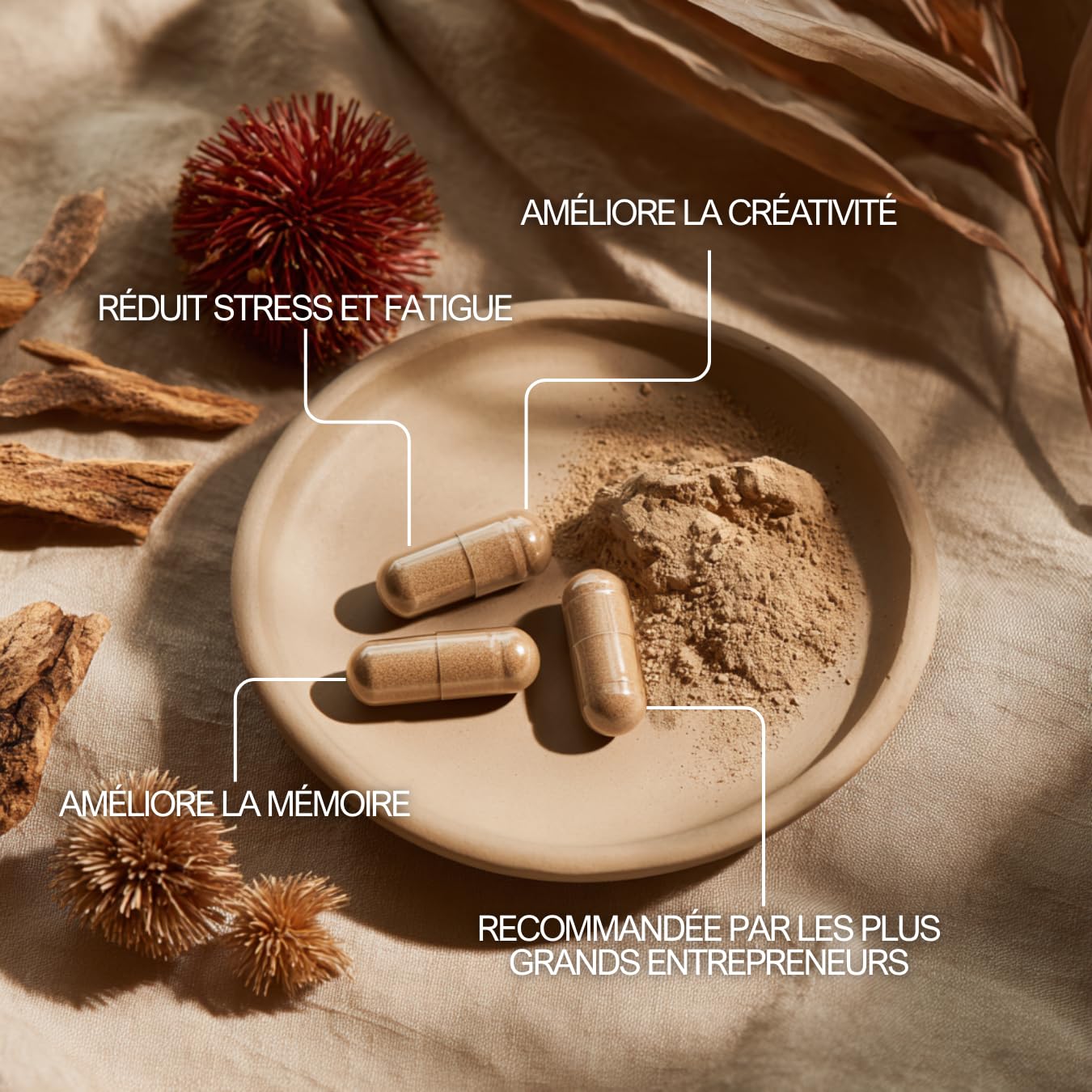 Rhodiola Rosea – 60 Capsules – Extrait Très Concentré – Énergie & Vitalité