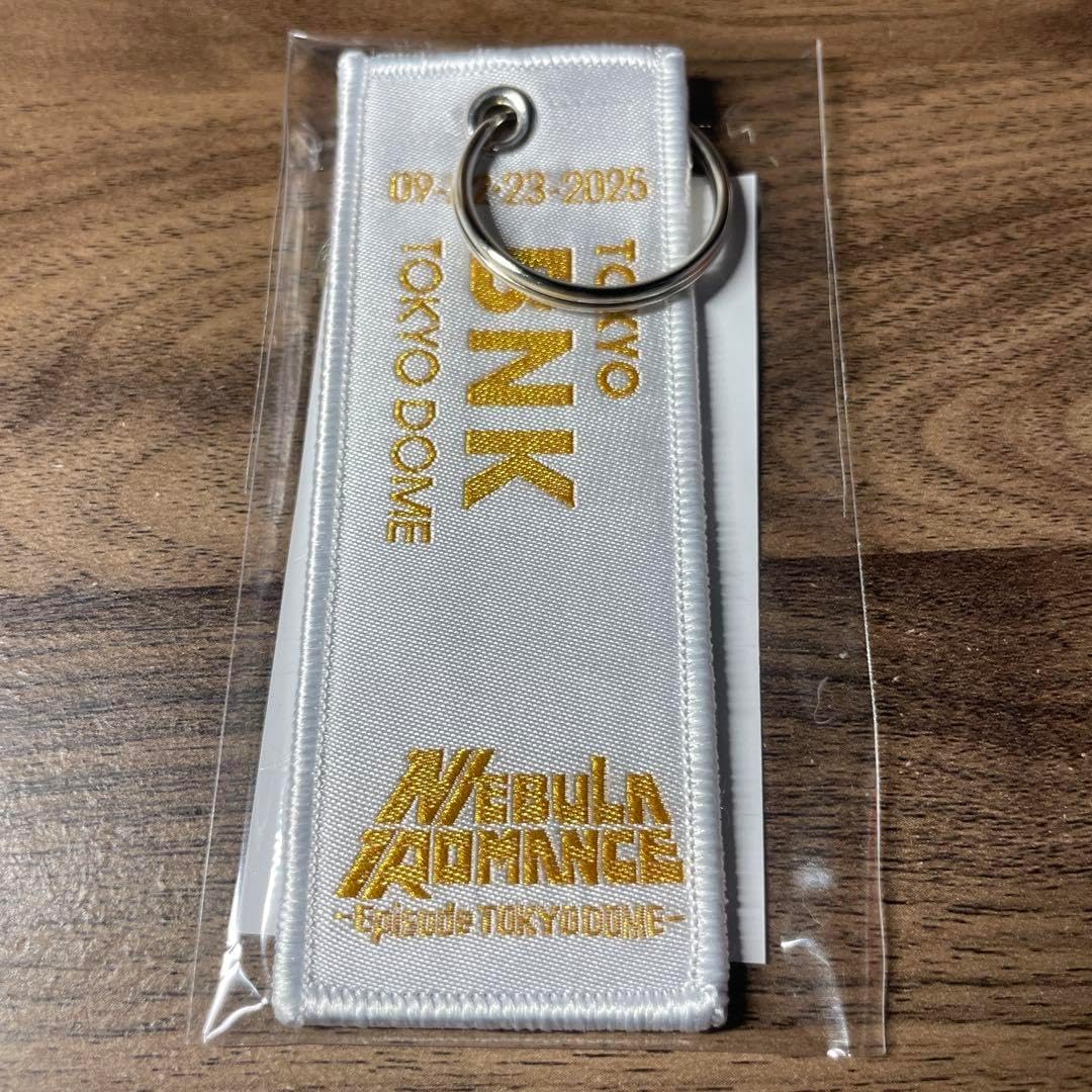 Perfume フライトタグ ネビュラロマンス 愛知 千葉 他 11種セット Perfume フライトタグ Perfume フライトタグ ネビュラロマンス 愛知