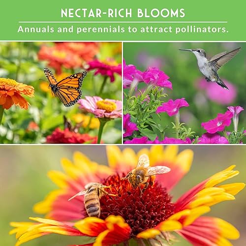 Miniatura 4 de Survival Garden Seeds Colección de flores polinizadoras: 3 paquetes de semillas para plantar y atraer mariposas, abejas, colibríes, flores