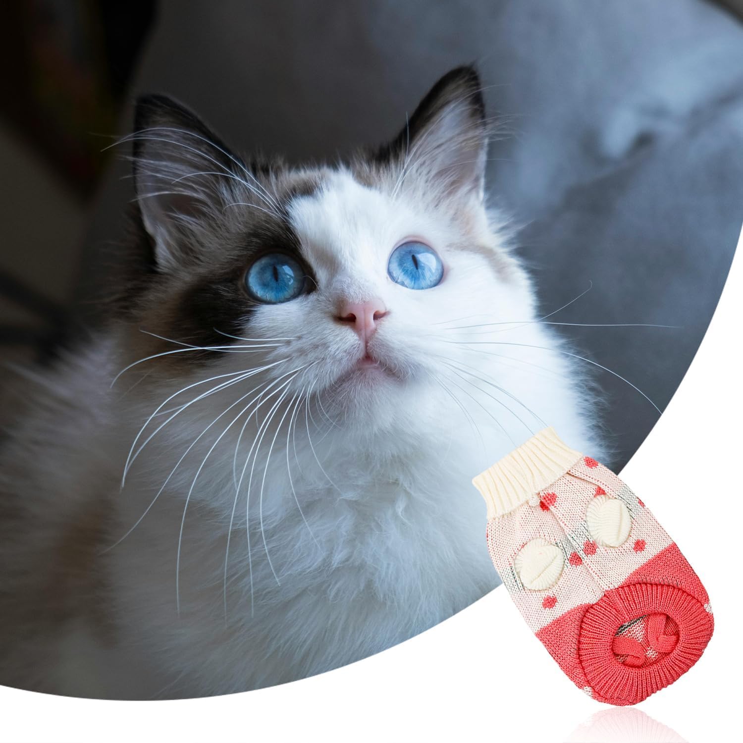Rumyve Strawberry Cat Sweater - Winter Warm Pet Clothing, Cute Knit Apparel (S) - Image 4