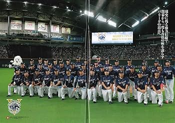 西武ライオンズ 2018年優勝記念新聞 10年ぶりの王座奪還 埼玉西武ライオンズ パ・リーグ優勝記念号