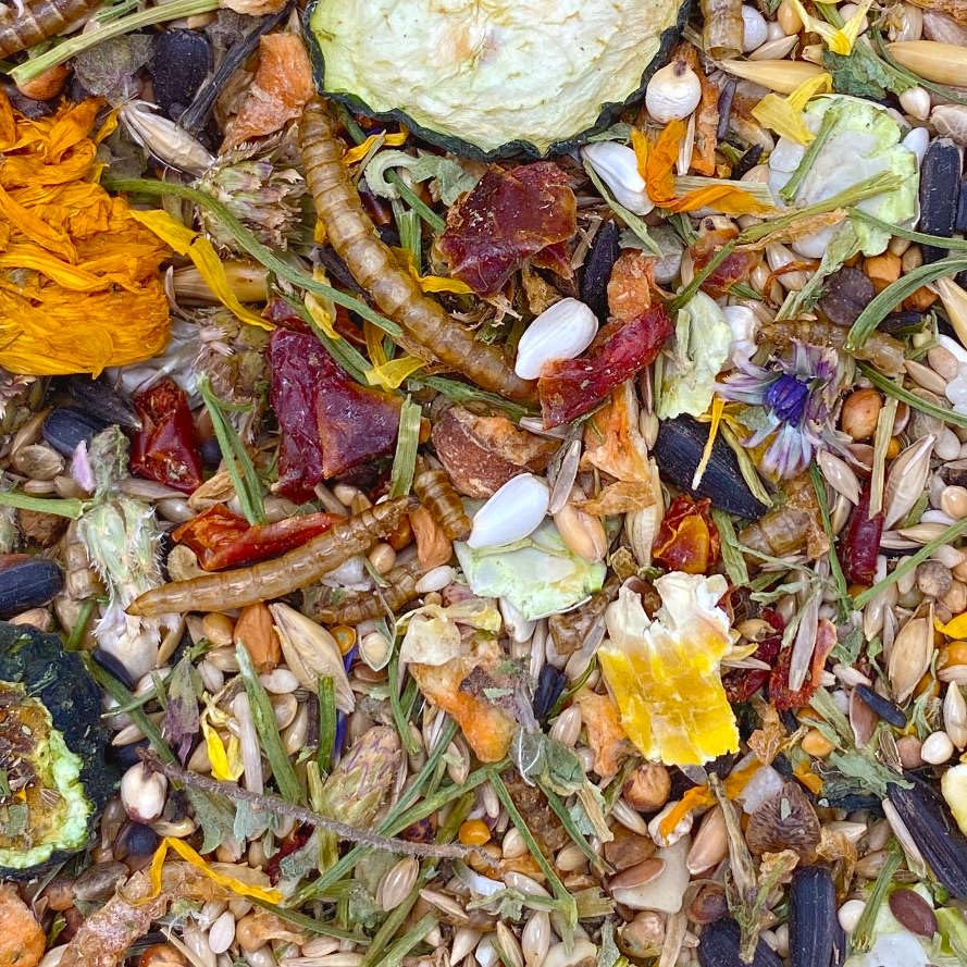 Mixerama Rennmäuse Gourmet Menü - artgerechtes Mäusefutter für die Rennmaus Gerbil ohne Pellets Kleintierfutter Alleinfutter Größe 500 g