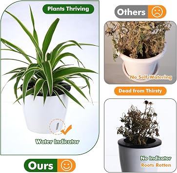Planterhoma 5インチ セルフウォーターポット 屋内植物用 12パック セルフ散水プランター 蘭 クモの植物 悪魔のツタ アフリカンバイオレット ウォーターインジケーター ブラック 芯ポット ホワイト/ブラック