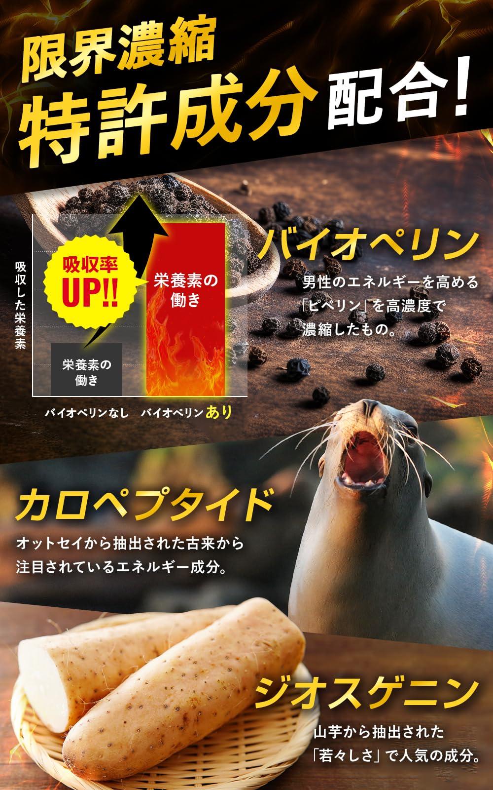 ライデン riden メンズ サプリ 30包 定価１３０００円が半額お得＼(◎o◎)／！ 楽天市場】ライデン riden メンズ サプリ 30包 約1ヶ月 [ アルギニン