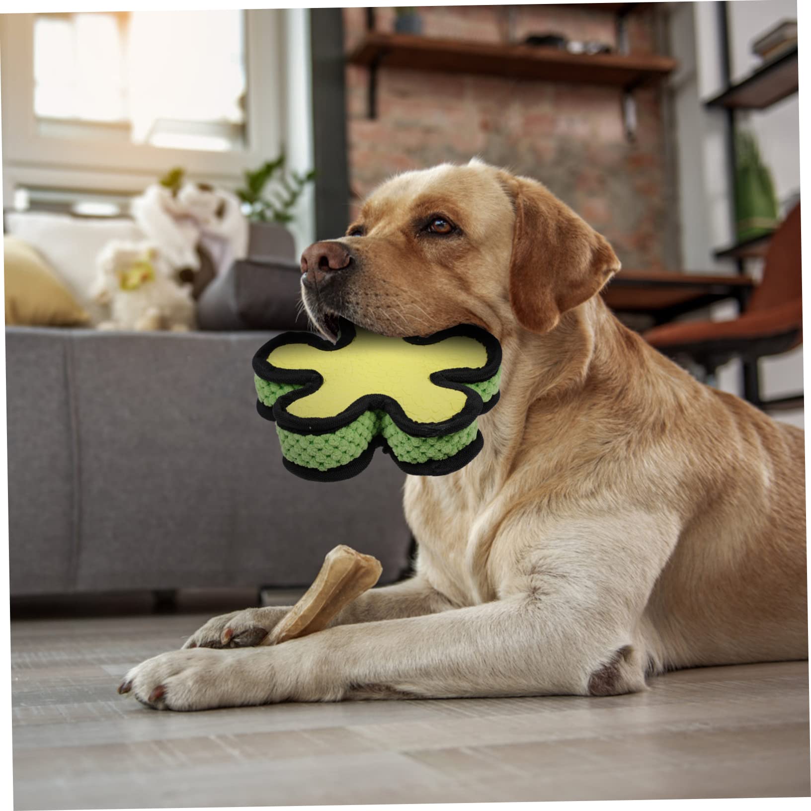 SUPVOX 3piezas Juguete De Molar para Perros Pelota De Sonido Interactiva para Cachorros para Jugar Casa y Mantener La Salud