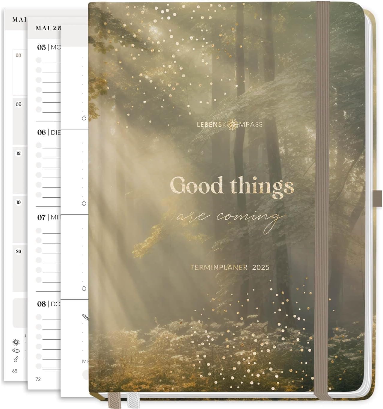 Lebenskompass Kalender 2025 Buchkalender A5 "WALD" - Schöner