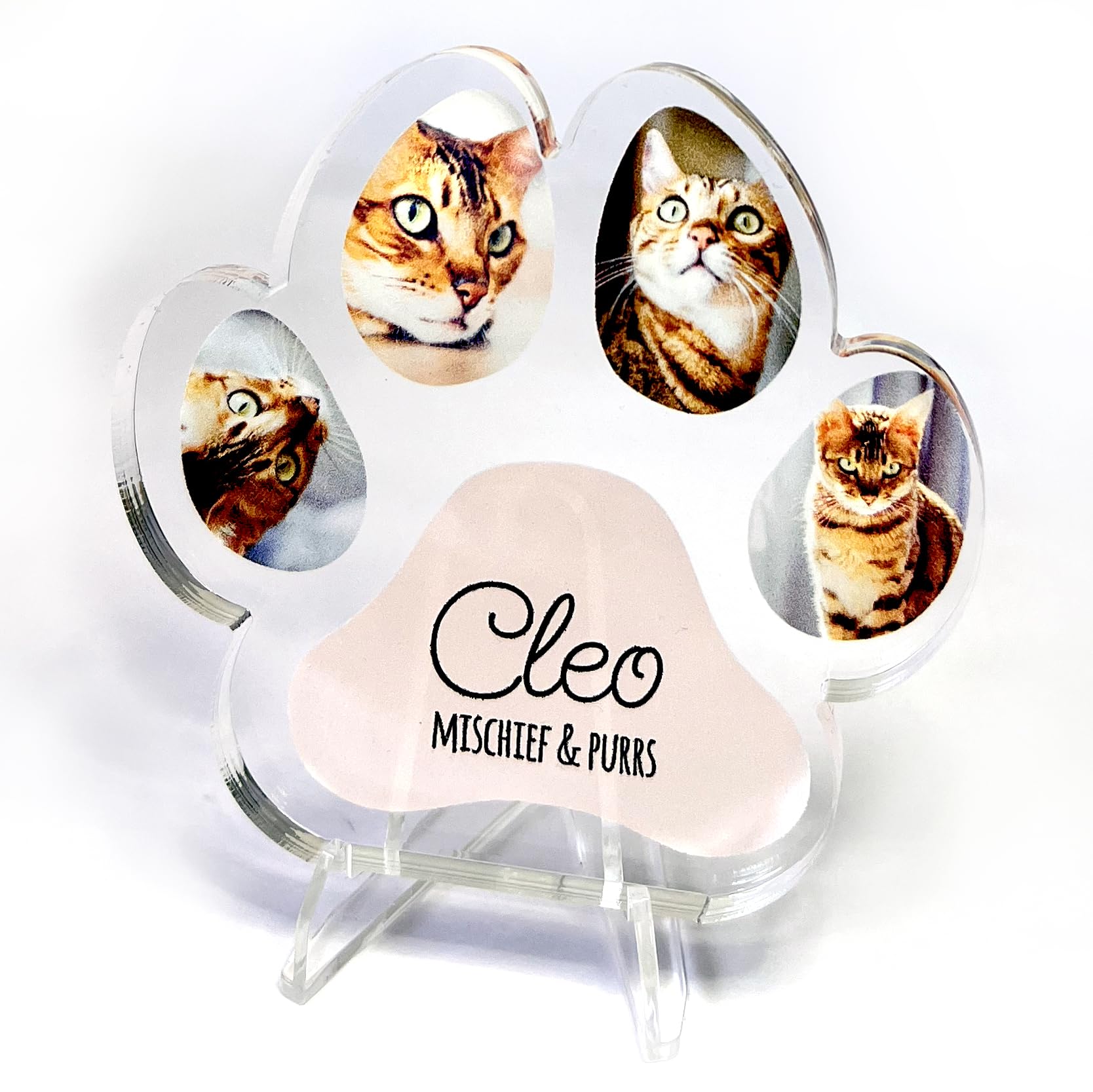 Primary Teaching Services Ltd Transparent 1 Personalised Customised Multi Photo Upload Acrylic Photo Pawprint Pet Dog Cat Paw Block With Stand Gift Christmas Memorial Birthday 100Mm Primary Teaching Services