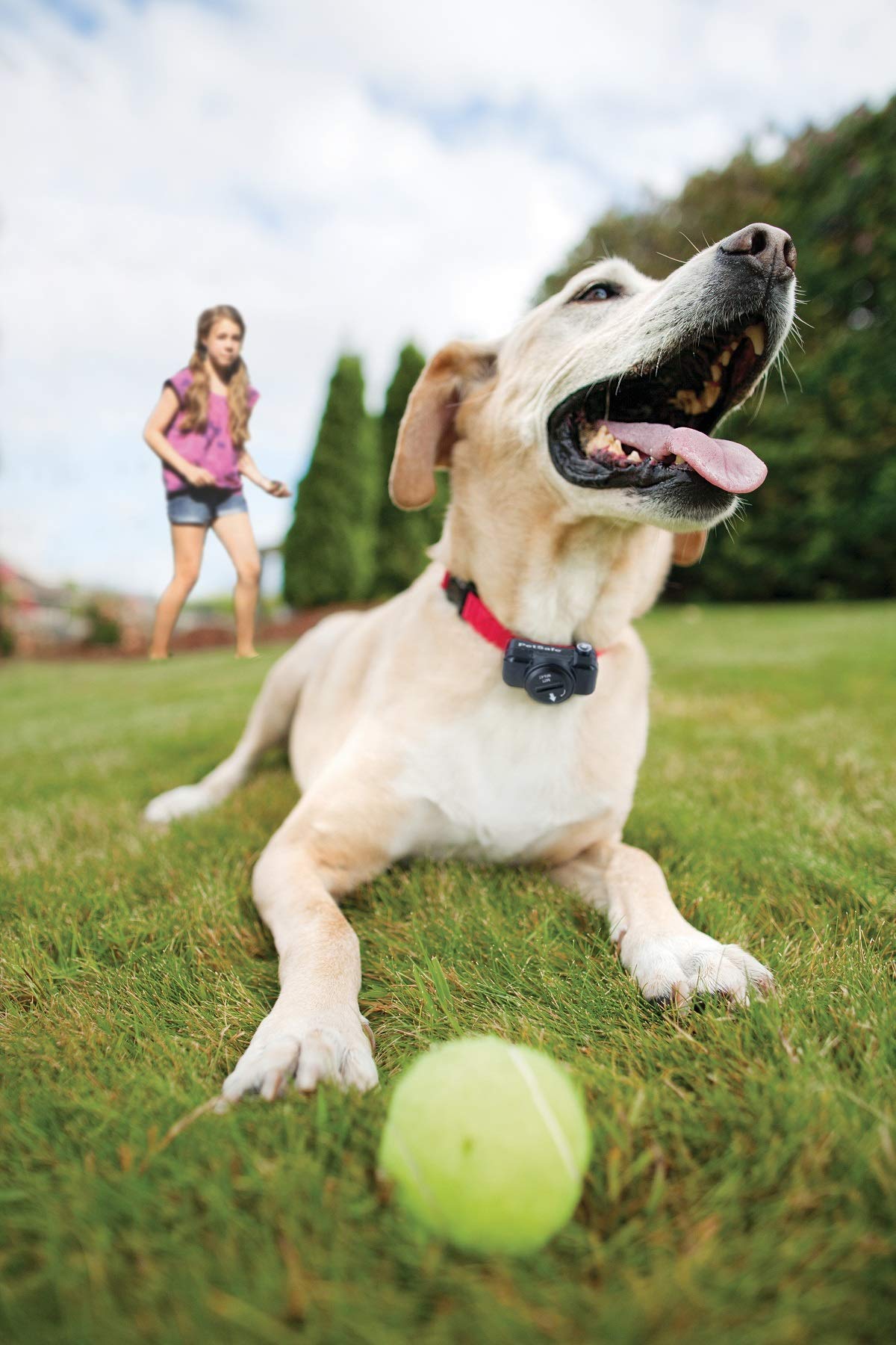 Petsafe - Système De Clôture Anti-Fugue avec Fil pour Chien De Plus 3,6 Kg – 4 Niveaux De Stimulations - Tous Types De Jardin (Jusqu'À 0.13 Hectares) - Imperméable - Facile À Installer