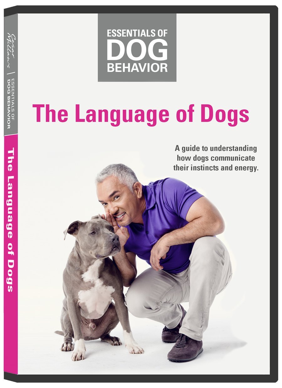 Amazon.com: Essentials of Dog Behavior: Language of Dogs : Cesar Millan ...