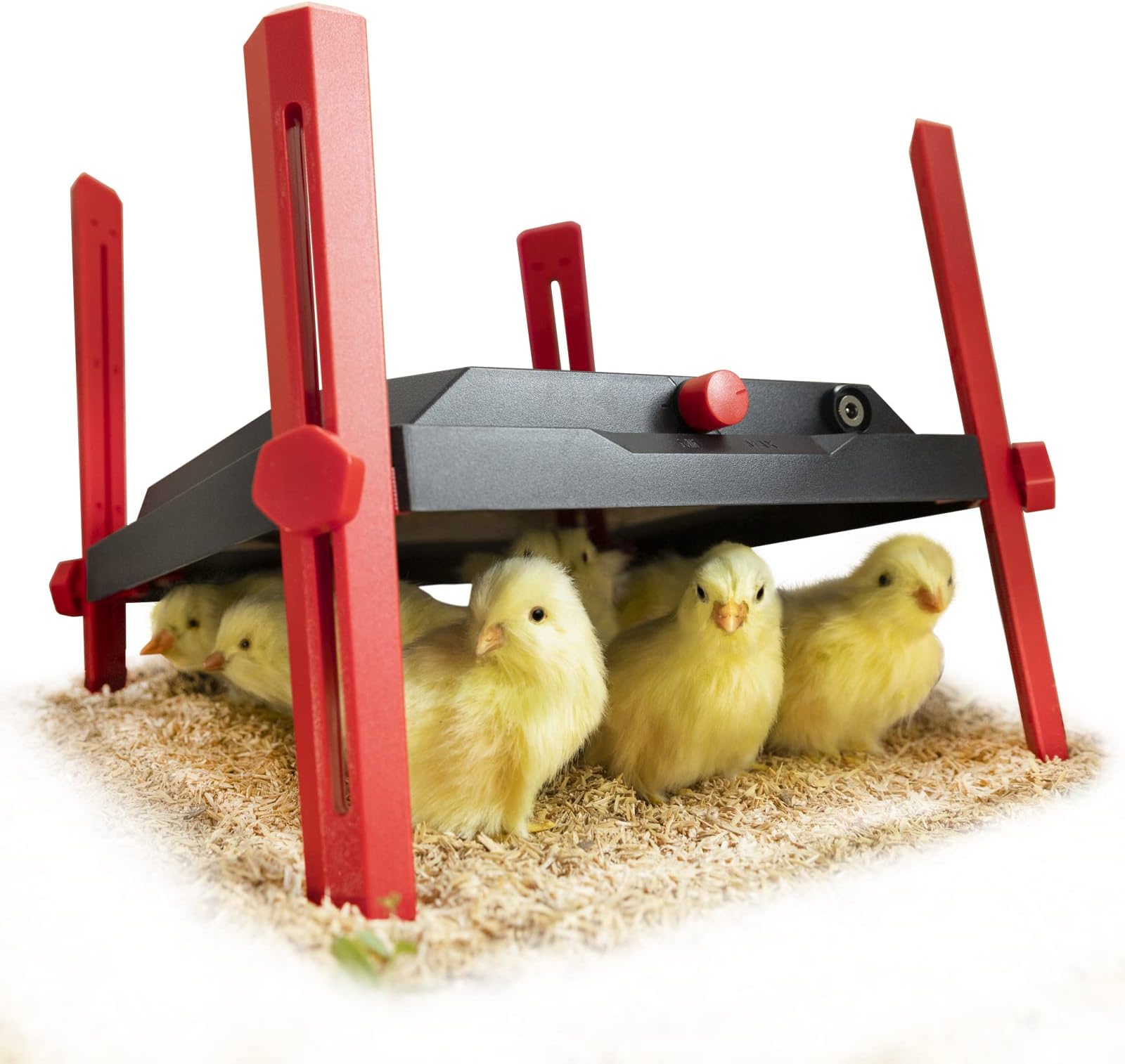 Andmon Chick Brooder with Safe DC Plug, Brooder Heater Heat