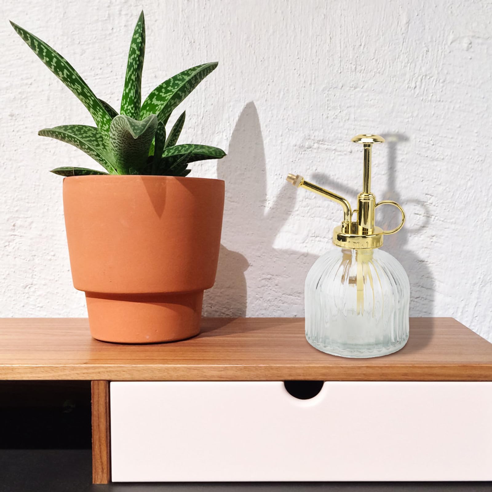 Glas Gießkanne Sprühflasche für Sukkulenten Bewässerung mit Goldfarbenem Kopf und Transparentem Behälter für Innenpflanzen