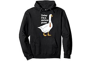 Today I'm A Serious Goose: Hoodies for Fun People