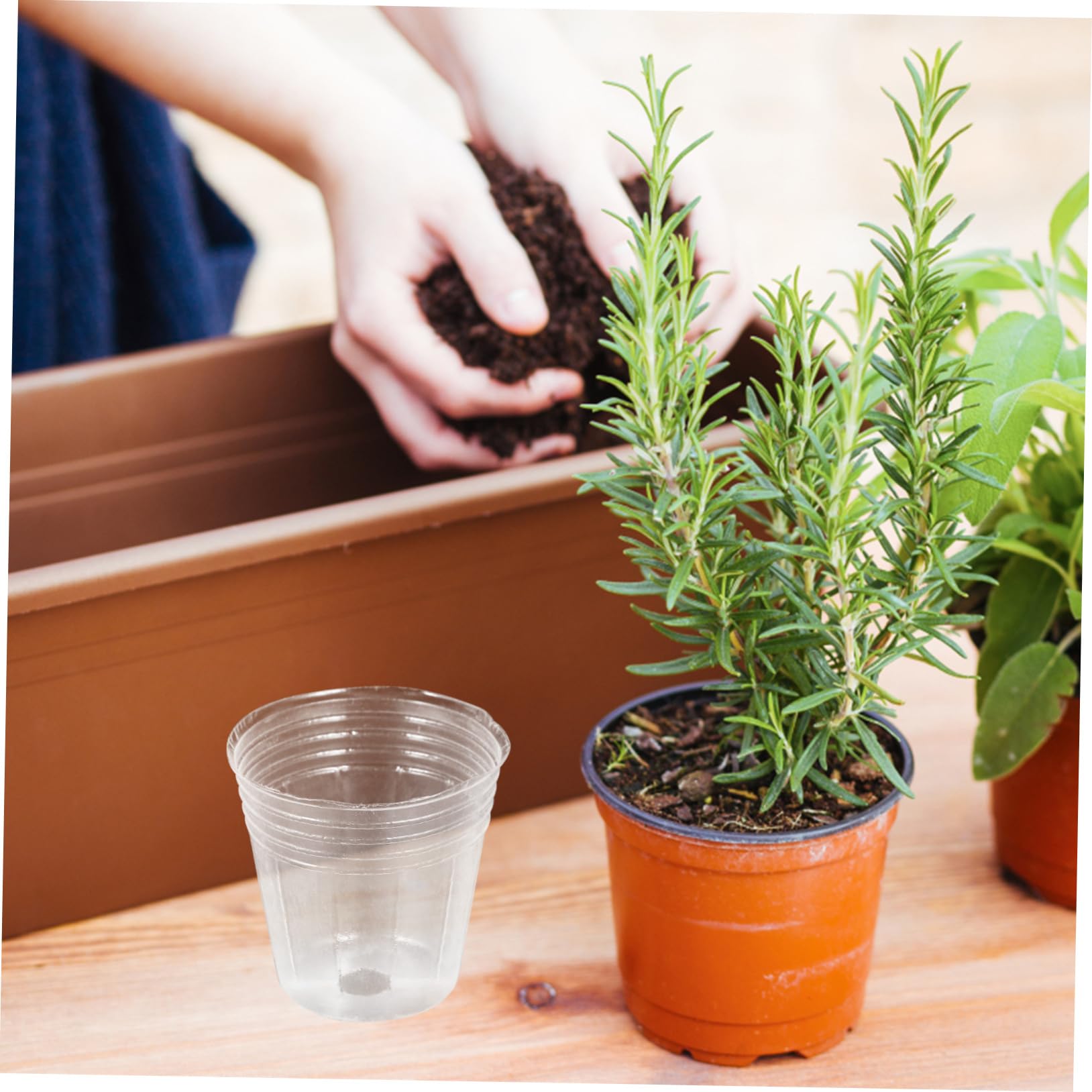 BESPORTBLE Lot De 4 Petits Pots De Pépinière en Plastique PP pour Plantes Succulentes Et Orchidées Drainants Et Respirants 50 Pièces X 4