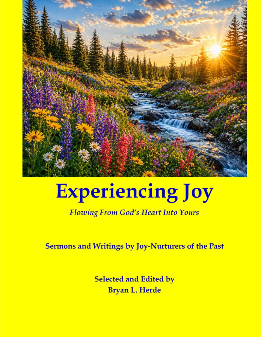 Experiencing Joy - Large Print Version: Flowing From God's Heart Into Yours