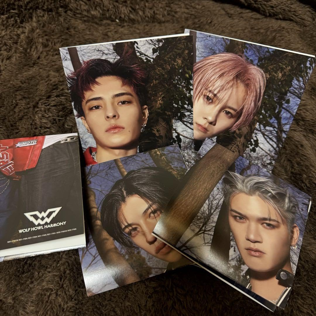 WOLFHOWL HARMONY ファブリックポスター SUZUKI 比嘉涼樹