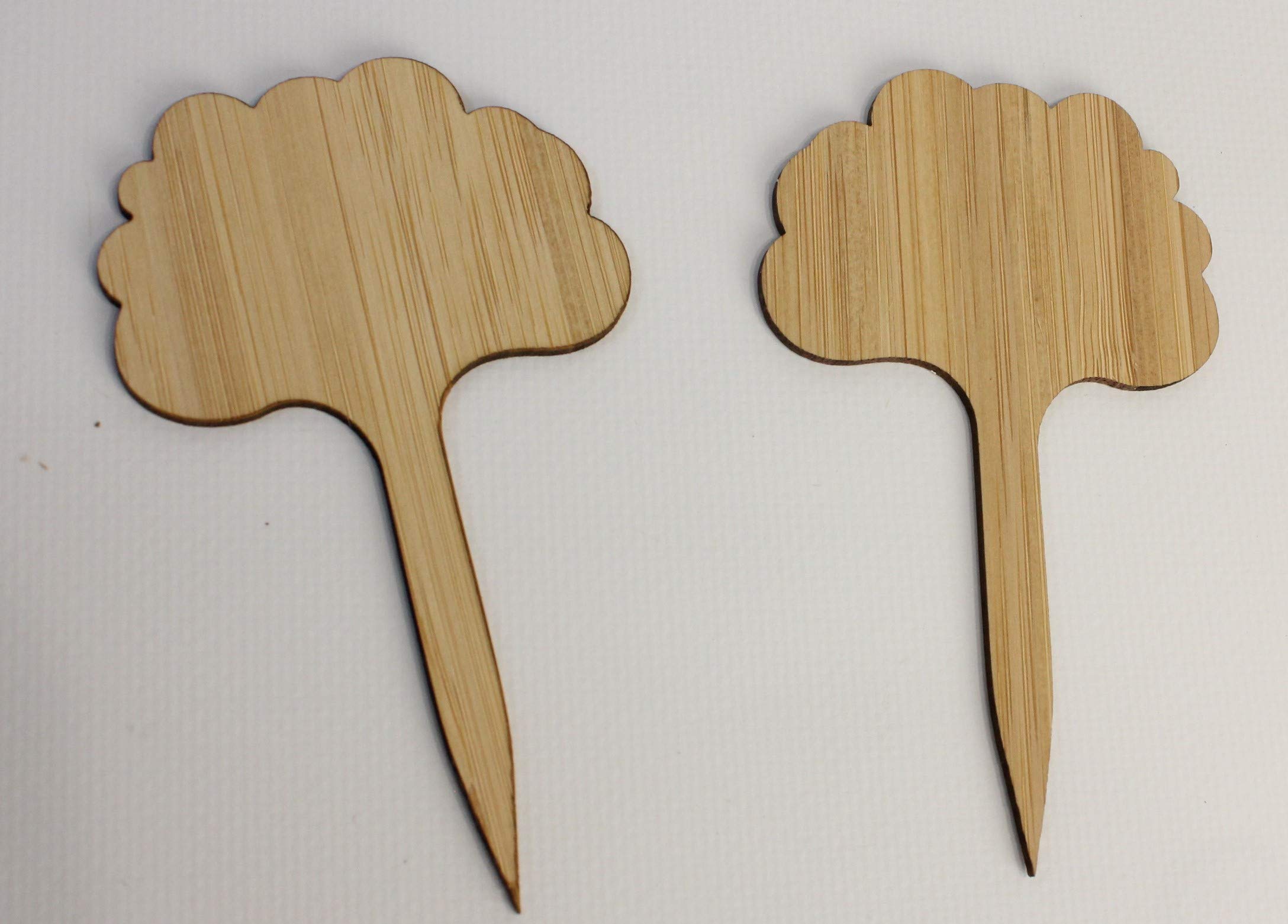 Lot De 30 Étiquettes De Plantes En Bois - Marqueurs De Jardin En T - 10x6 Cm - Pour Légumes, Fleurs, Semis